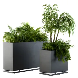 Plant box metal compact